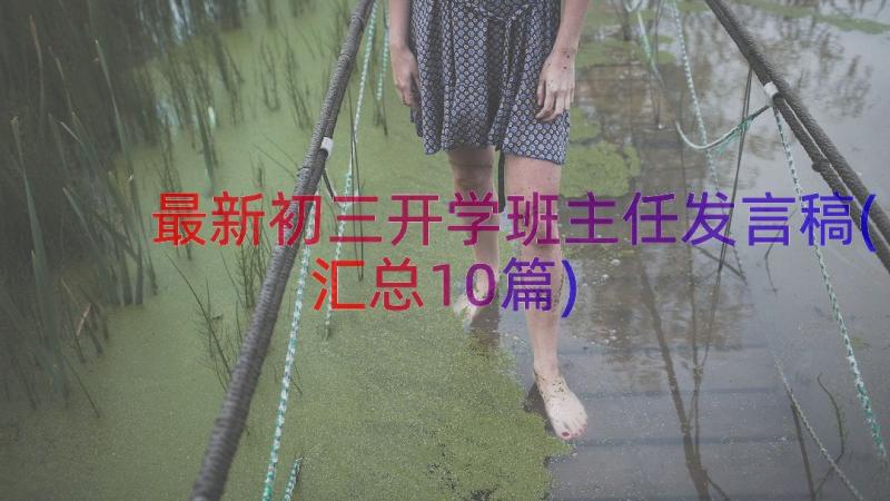 最新初三开学班主任发言稿(汇总10篇)