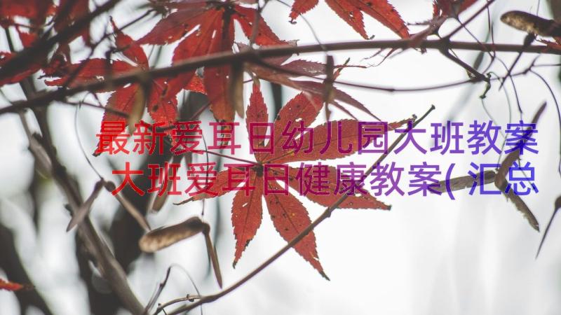 最新爱耳日幼儿园大班教案 大班爱耳日健康教案(汇总8篇)