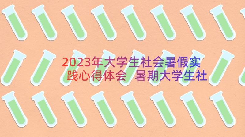 2023年大学生社会暑假实践心得体会 暑期大学生社会实践心得体会(汇总19篇)