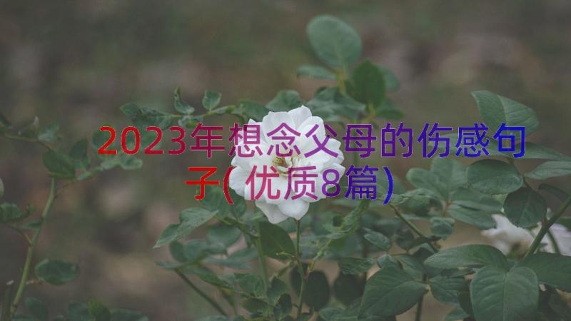 2023年想念父母的伤感句子(优质8篇)