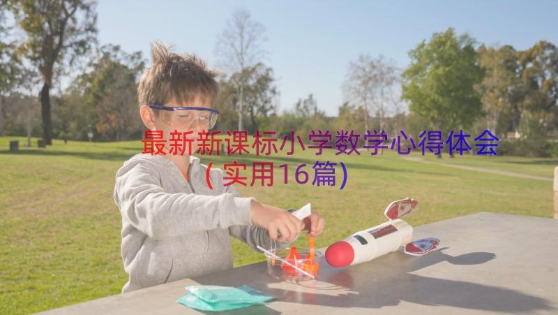 最新新课标小学数学心得体会(实用16篇)