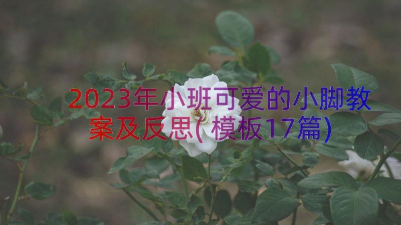 2023年小班可爱的小脚教案及反思(模板17篇)