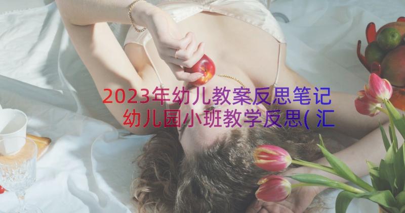 2023年幼儿教案反思笔记 幼儿园小班教学反思(汇总19篇)