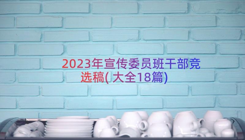 2023年宣传委员班干部竞选稿(大全18篇)