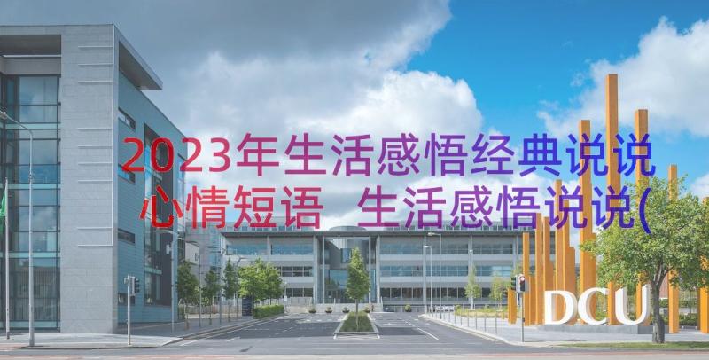 2023年生活感悟经典说说心情短语 生活感悟说说(精选20篇)