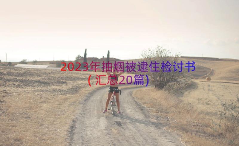 2023年抽烟被逮住检讨书(汇总20篇)