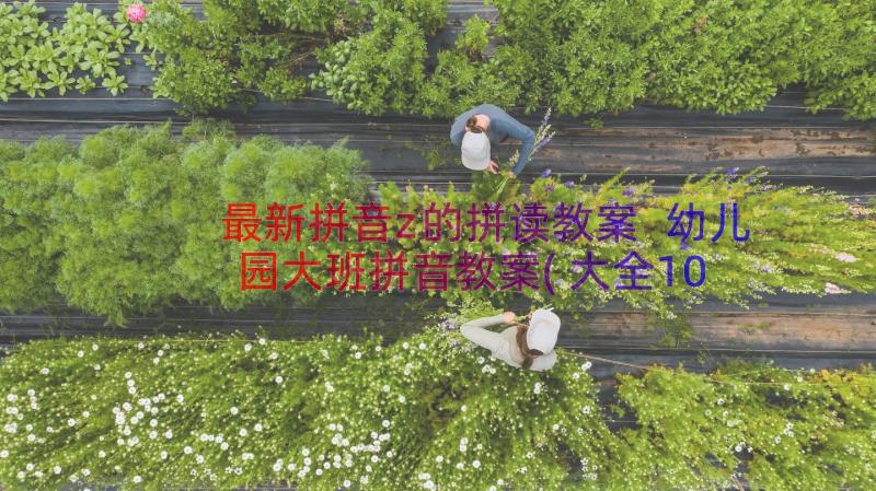 最新拼音z的拼读教案 幼儿园大班拼音教案(大全10篇)