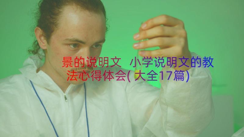 景的说明文 小学说明文的教法心得体会(大全17篇)