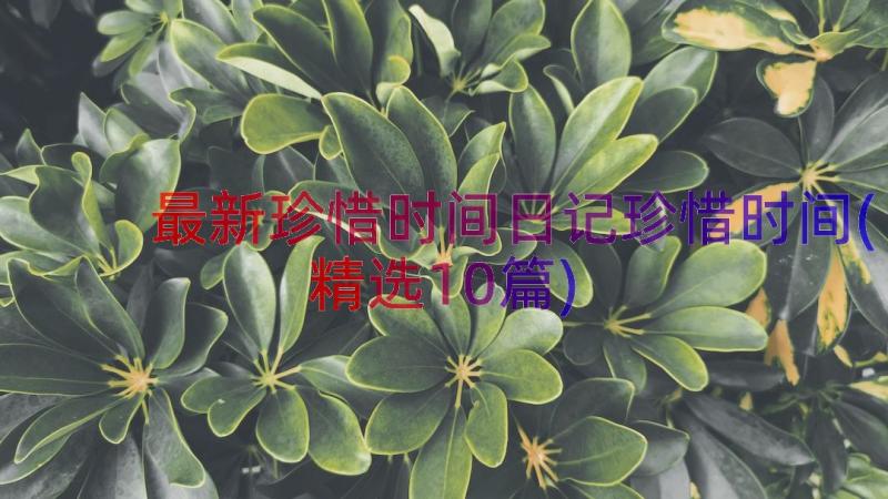 最新珍惜时间日记珍惜时间(精选10篇)