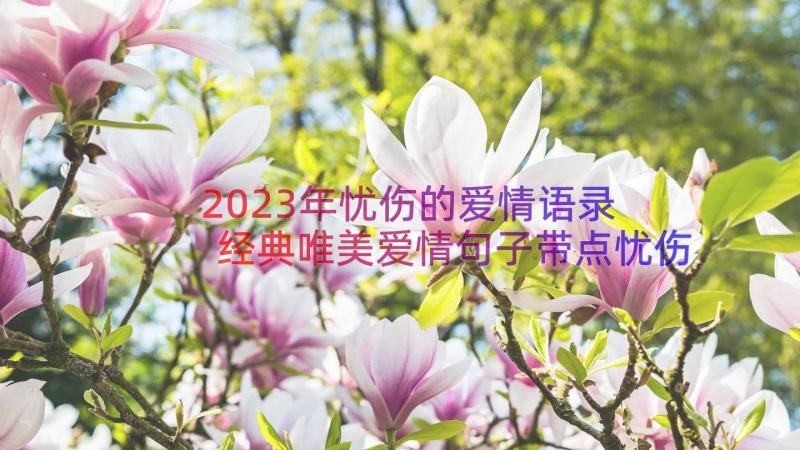 2023年忧伤的爱情语录 经典唯美爱情句子带点忧伤(大全16篇)