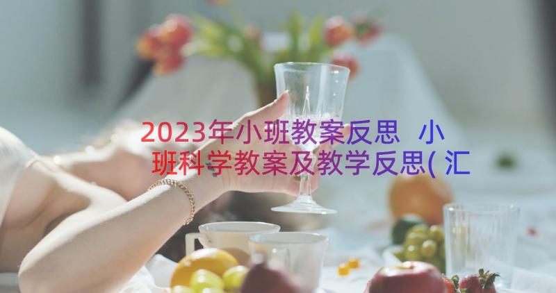 2023年小班教案反思 小班科学教案及教学反思(汇总17篇)