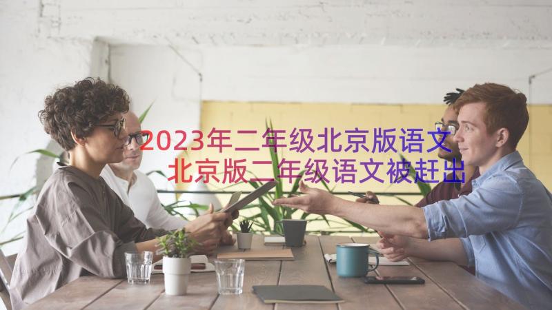 2023年二年级北京版语文 北京版二年级语文被赶出家门的小麻雀教案(模板13篇)