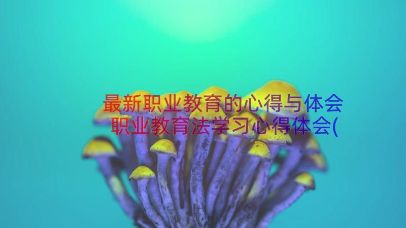 最新职业教育的心得与体会 职业教育法学习心得体会(精选16篇)