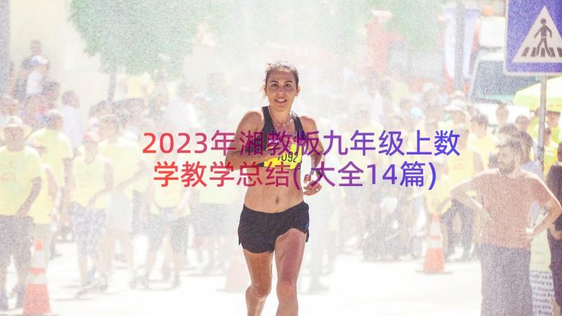 2023年湘教版九年级上数学教学总结(大全14篇)