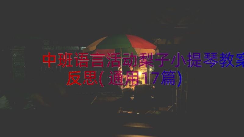 中班语言活动梨子小提琴教案反思(通用17篇)