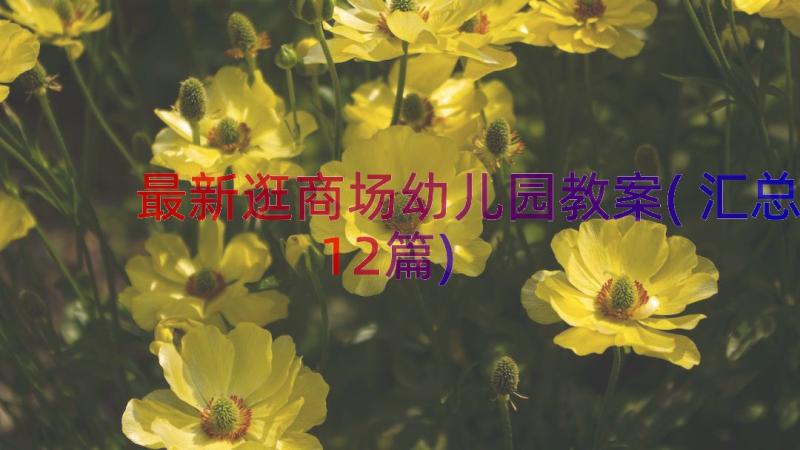 最新逛商场幼儿园教案(汇总12篇)