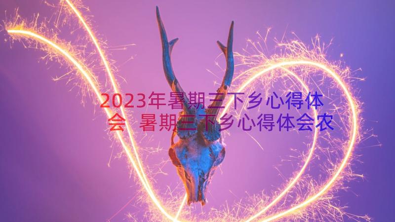 2023年暑期三下乡心得体会 暑期三下乡心得体会农耕(优质17篇)