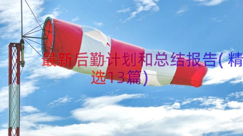 最新后勤计划和总结报告(精选13篇)