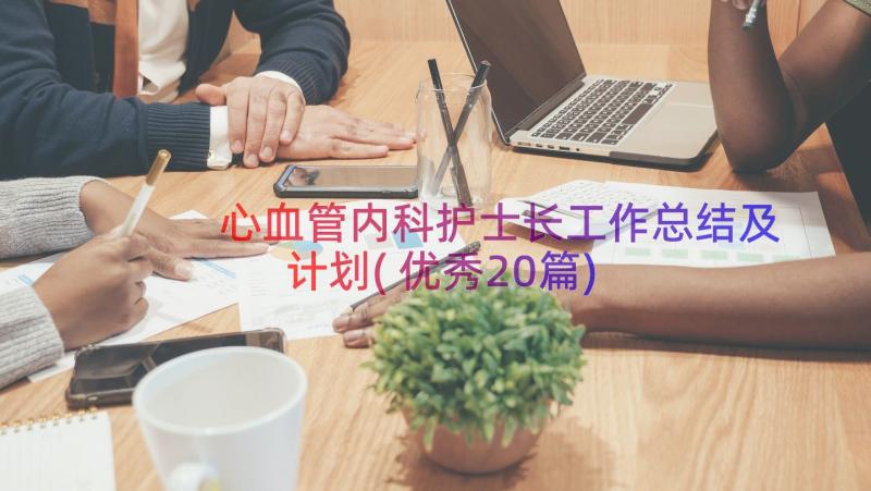 心血管内科护士长工作总结及计划(优秀20篇)