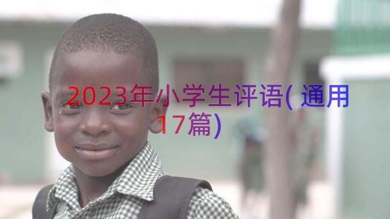 2023年小学生评语(通用17篇)