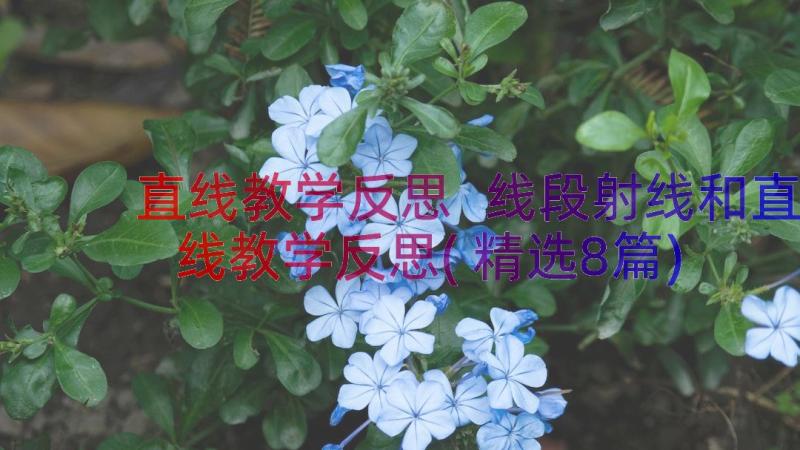 直线教学反思 线段射线和直线教学反思(精选8篇)