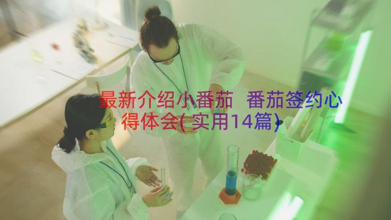 最新介绍小番茄 番茄签约心得体会(实用14篇)