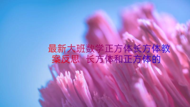 最新大班数学正方体长方体教案反思 长方体和正方体的体积数学教案设计(模板19篇)