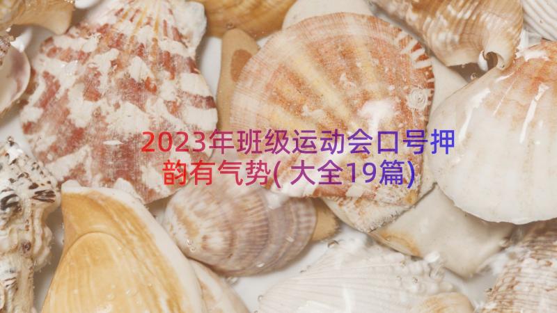 2023年班级运动会口号押韵有气势(大全19篇)