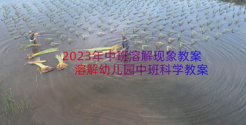 2023年中班溶解现象教案 溶解幼儿园中班科学教案(实用8篇)