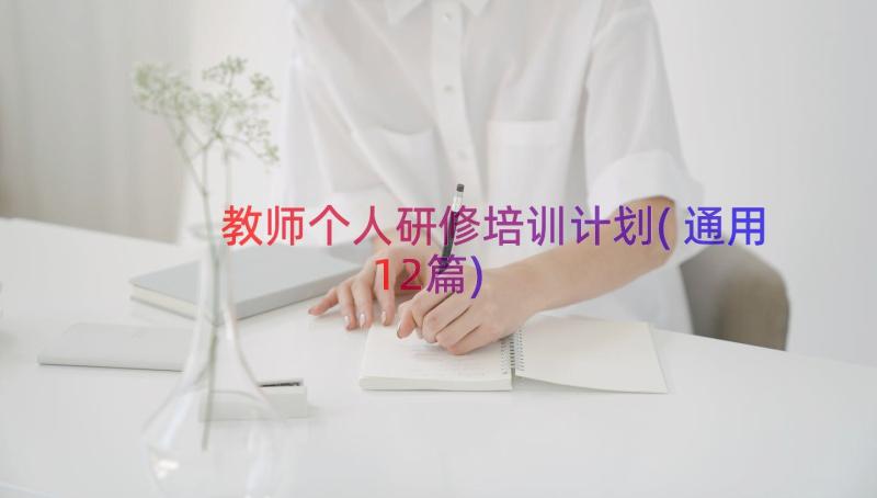 教师个人研修培训计划(通用12篇)