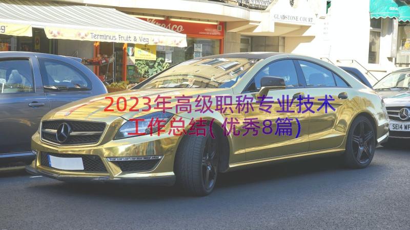 2023年高级职称专业技术工作总结(优秀8篇)