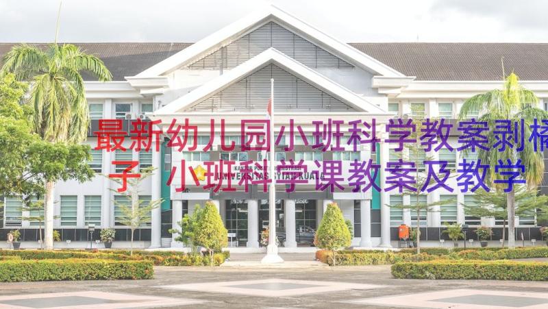 最新幼儿园小班科学教案剥橘子 小班科学课教案及教学反思橘子宝宝(通用5篇)