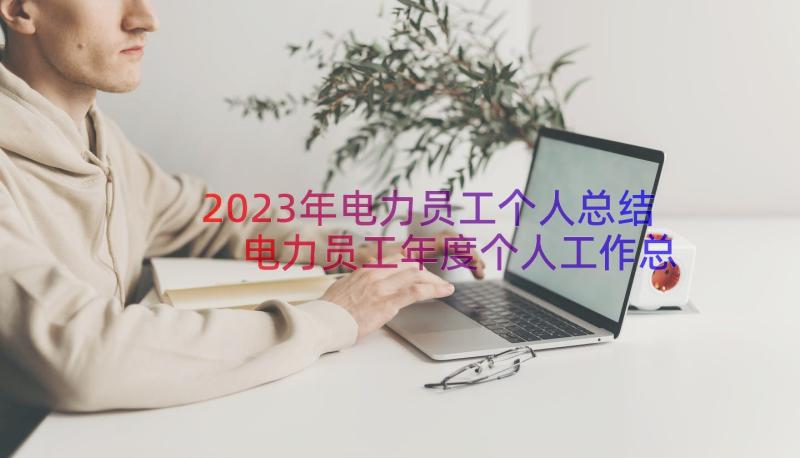 2023年电力员工个人总结 电力员工年度个人工作总结(通用16篇)