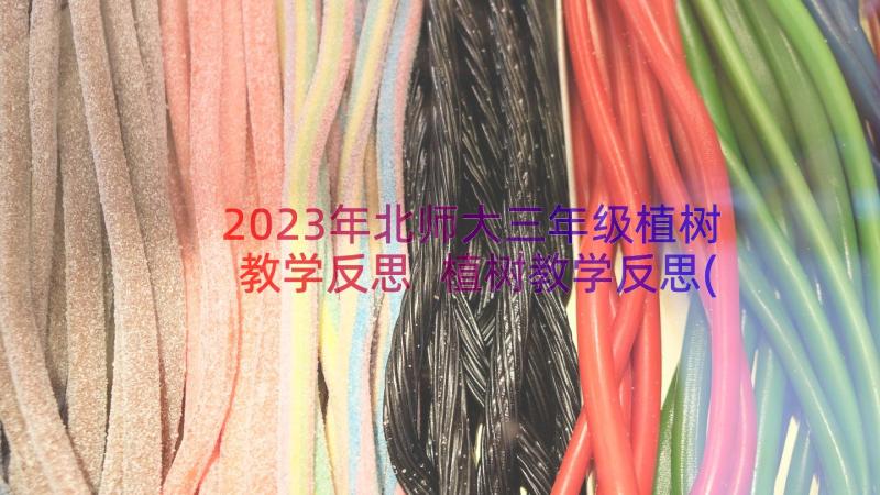 2023年北师大三年级植树教学反思 植树教学反思(实用9篇)