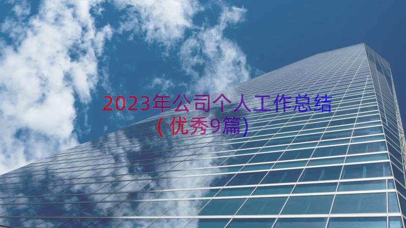 2023年公司个人工作总结(优秀9篇)