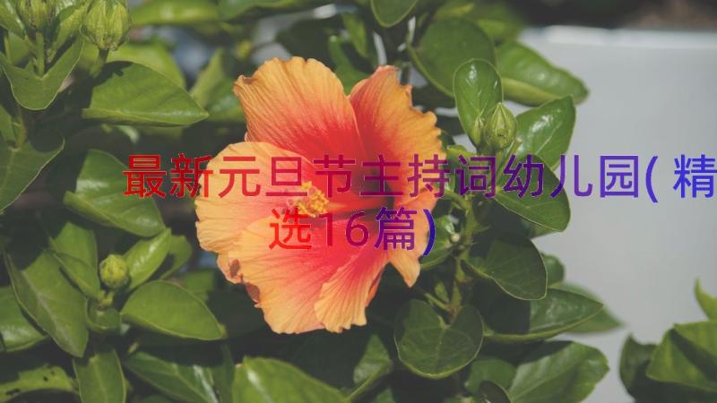 最新元旦节主持词幼儿园(精选16篇)