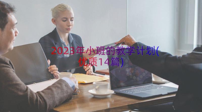 2023年小班的教学计划(优质14篇)