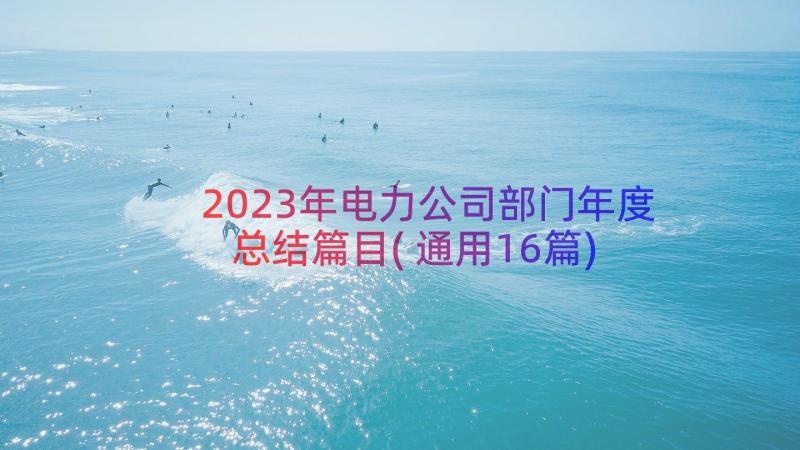 2023年电力公司部门年度总结篇目(通用16篇)