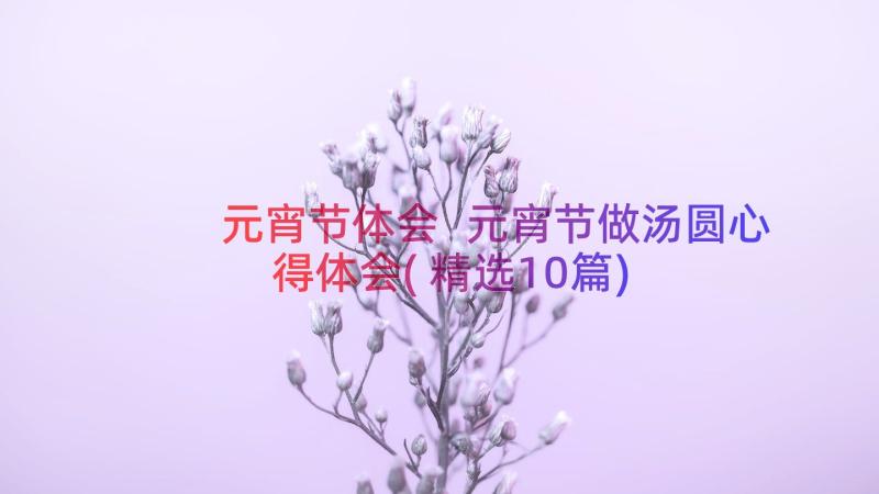 元宵节体会 元宵节做汤圆心得体会(精选10篇)