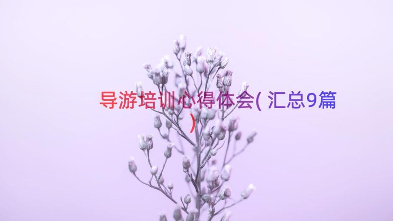 导游培训心得体会(汇总9篇)