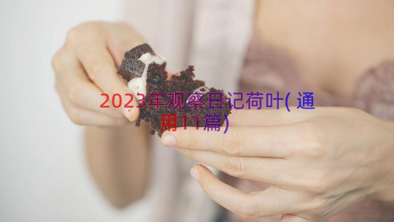 2023年观察日记荷叶(通用11篇)