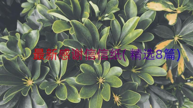 最新感谢信信纸(精选8篇)