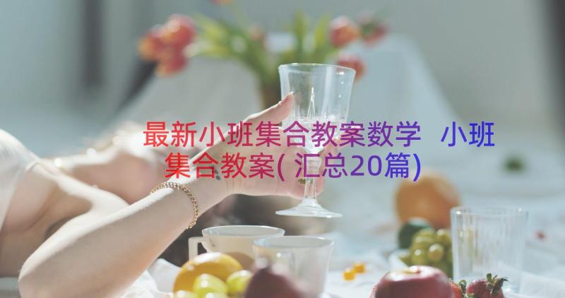 最新小班集合教案数学 小班集合教案(汇总20篇)