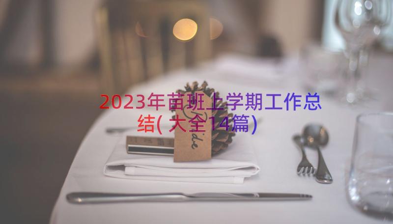 2023年苗班上学期工作总结(大全14篇)