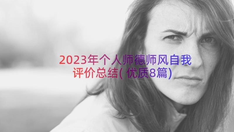 2023年个人师德师风自我评价总结(优质8篇)