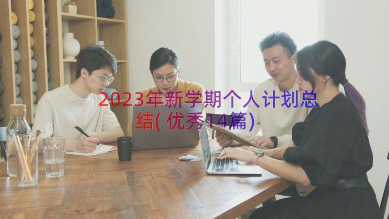 2023年新学期个人计划总结(优秀14篇)