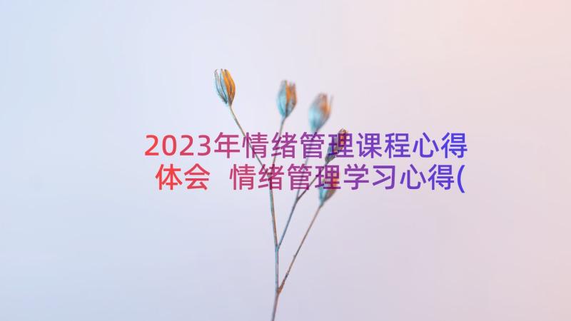 2023年情绪管理课程心得体会 情绪管理学习心得(大全11篇)