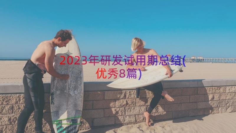 2023年研发试用期总结(优秀8篇)