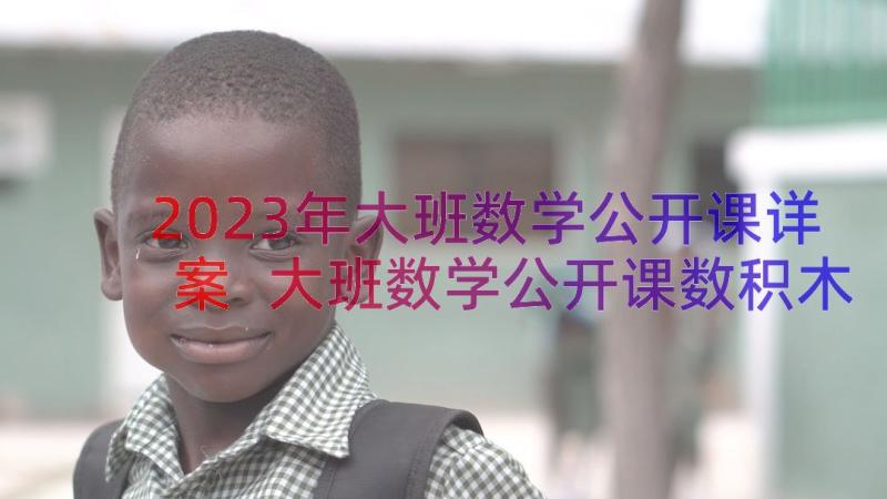 2023年大班数学公开课详案 大班数学公开课数积木教案(模板14篇)