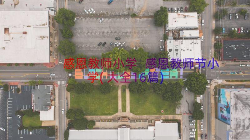 感恩教师小学 感恩教师节小学(大全16篇)